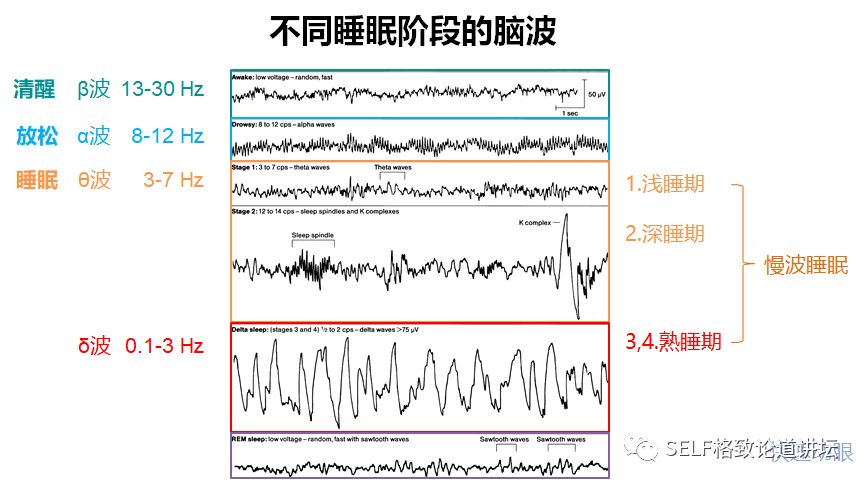 最重要的研究睡眠方法是通过研究脑电波来评估睡眠质量与深浅.