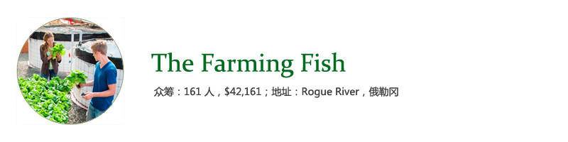 02-Farming Fish.JPG