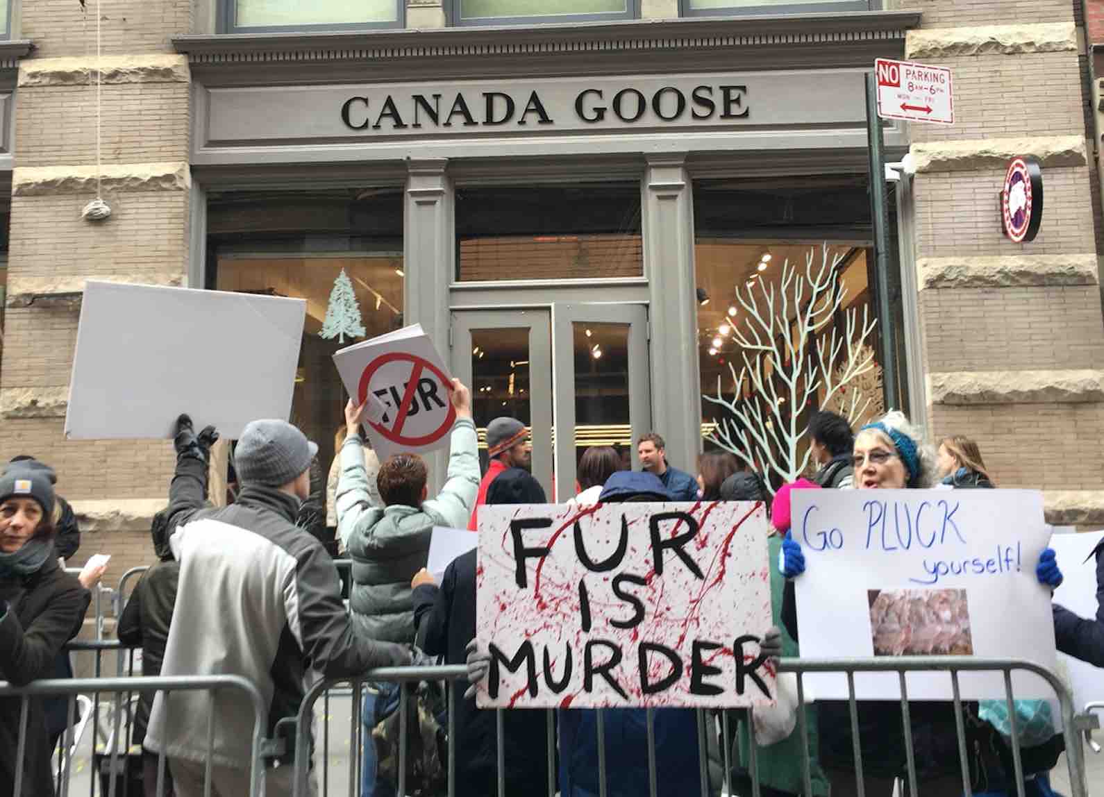 Canada-Goose-fur-protest-coyotes.jpg