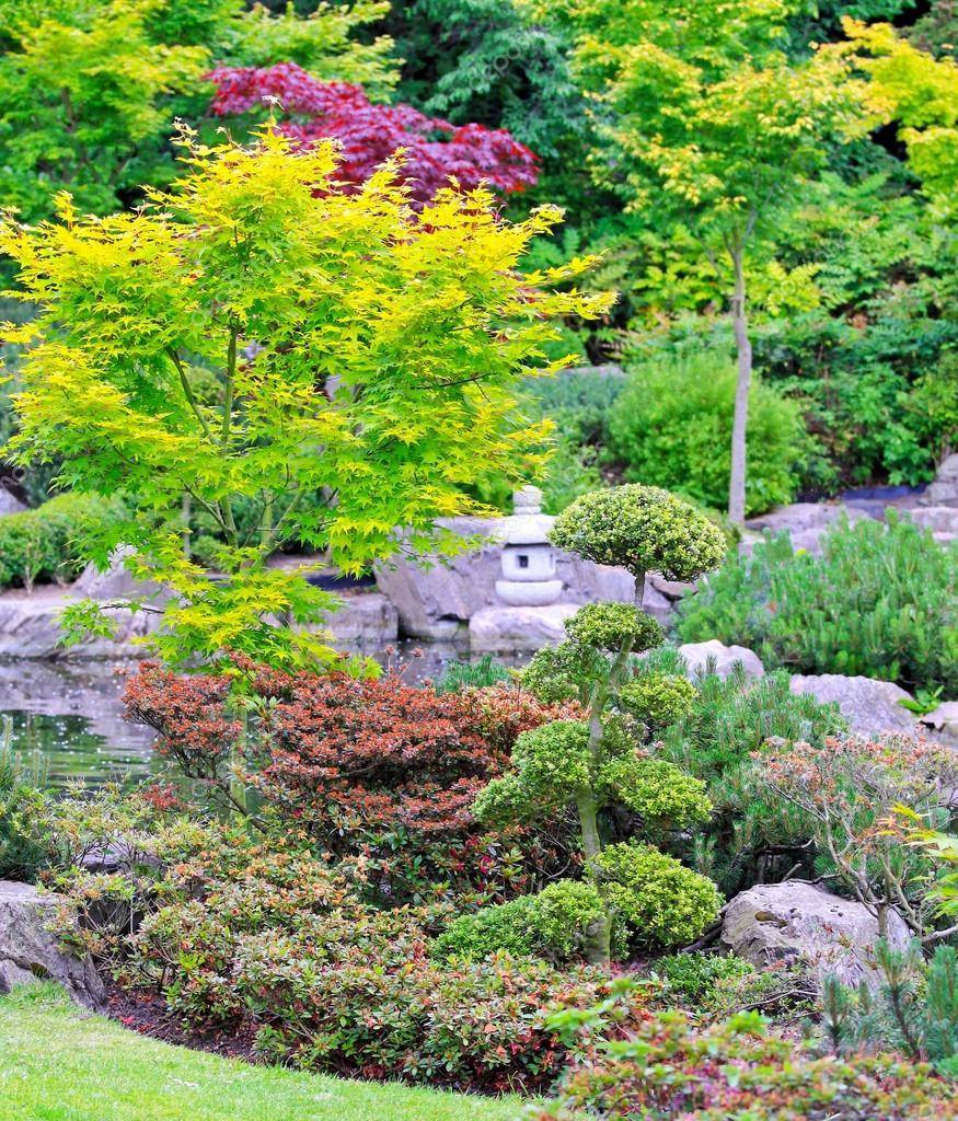 depositphotos_6409815-stock-photo-kyoto-garden.jpg