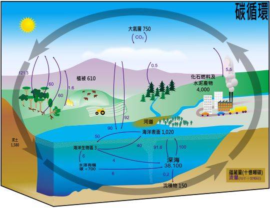 环境气体循环图