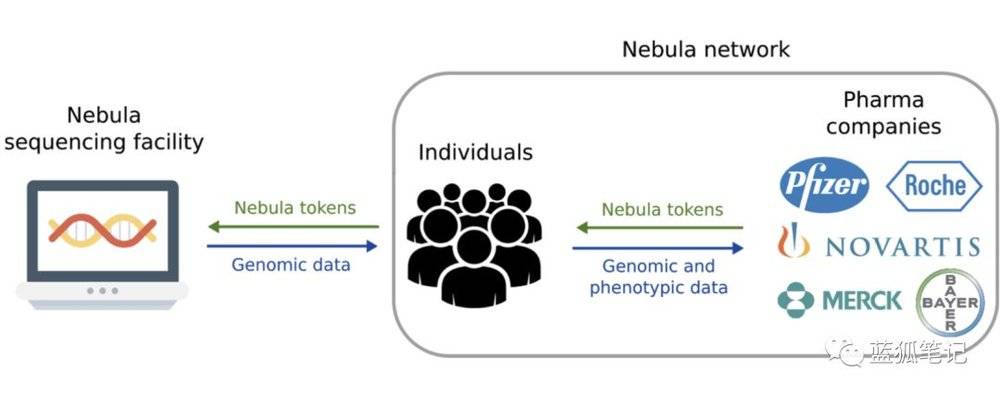区块链如何重塑基因测序行业？