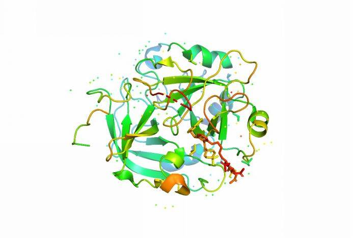蛋白质分子的3d模型(图片来源:视觉中国)