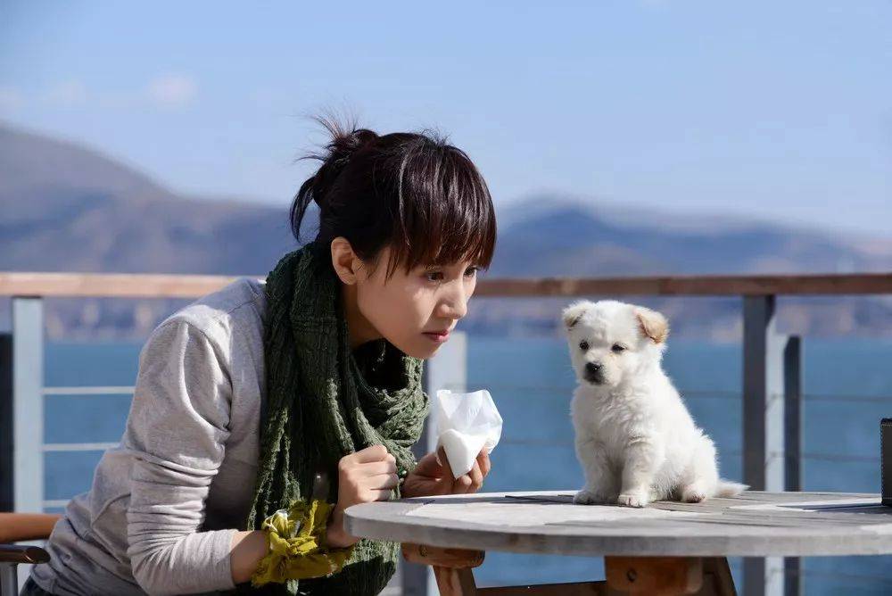 去大理,谁能为你的梦想埋单