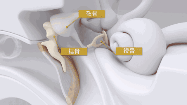 助听器如何拯救耳聋