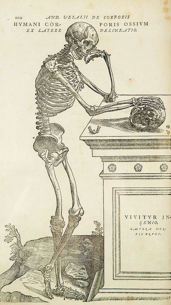 1543出版的《人体的构造》,是安德雷亚斯·维萨里写的一套关于人体