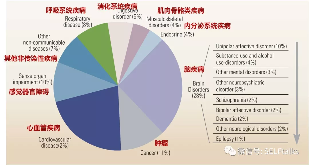 各种疾病的社会负担(来源:世界卫生组织)