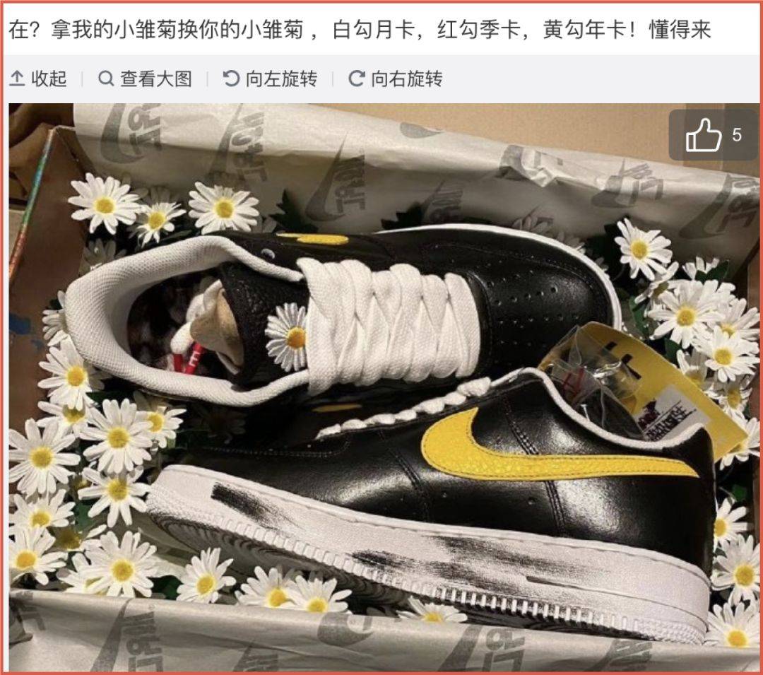 权志龙球鞋引发的"雏菊"争夺战