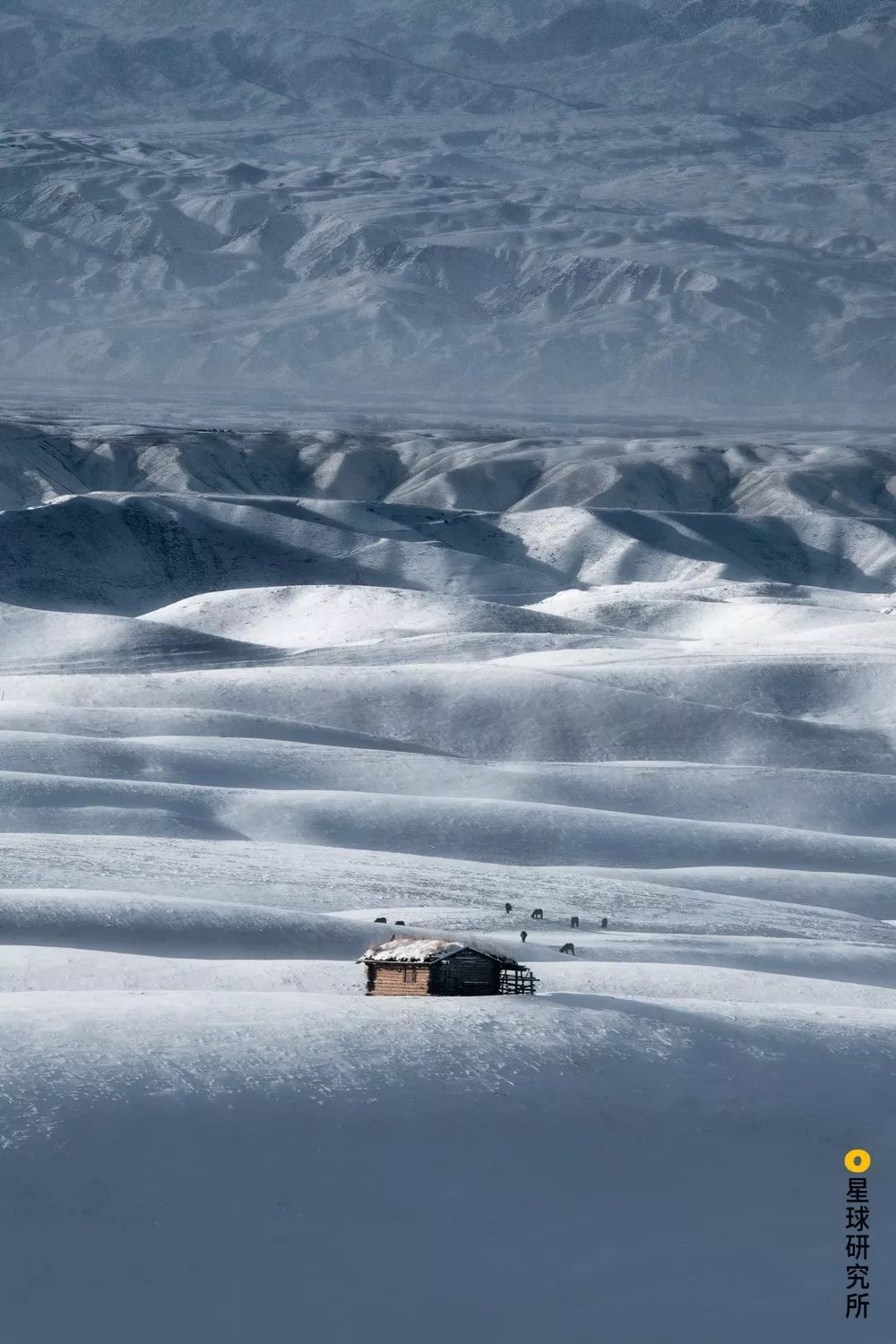 新疆喀拉峻人体草原雪景,摄影师@刘承徭 天地苍茫.