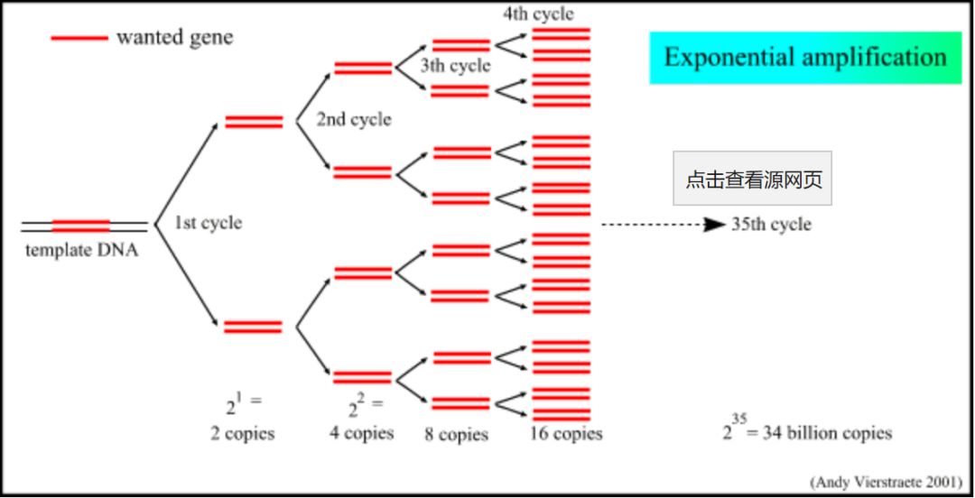 pcr技术的设想在1983年由美国科学家凯利穆利斯(kary mullis)提出