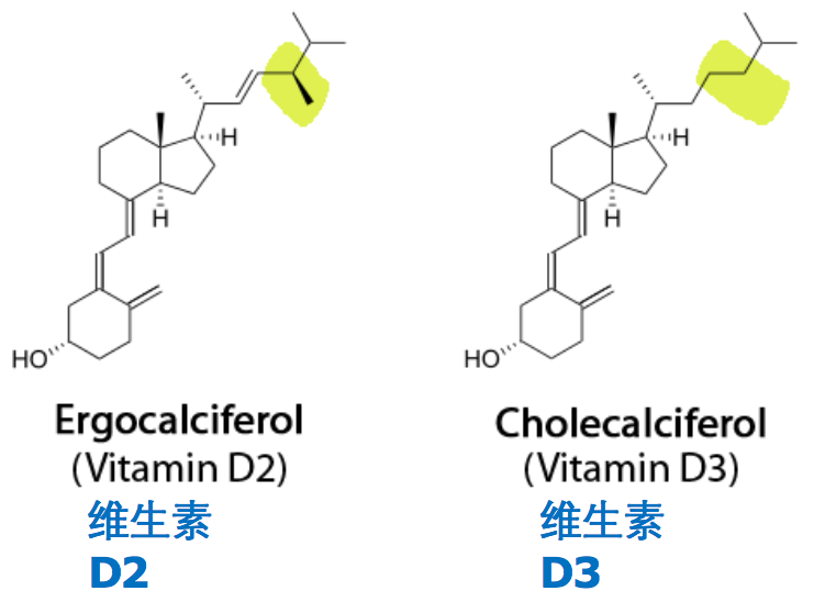维生素D化学结构图片