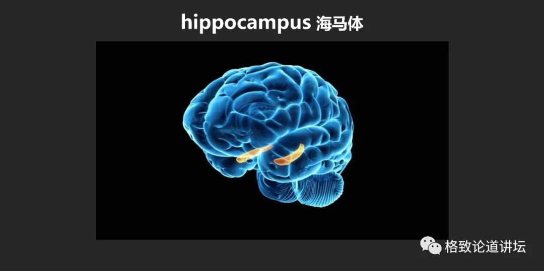 怎样训练大脑，能让人拥有超强记忆力？ - 图6