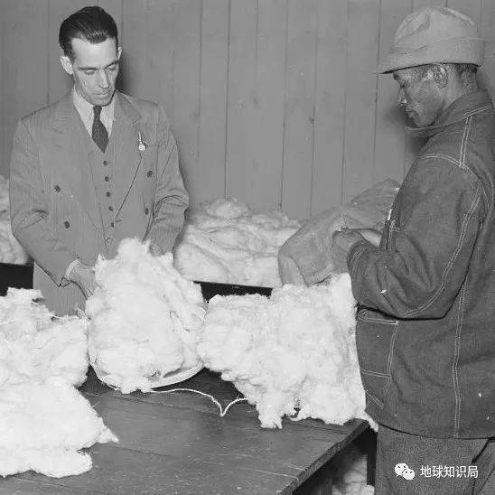 美国棉花有多“黑”？