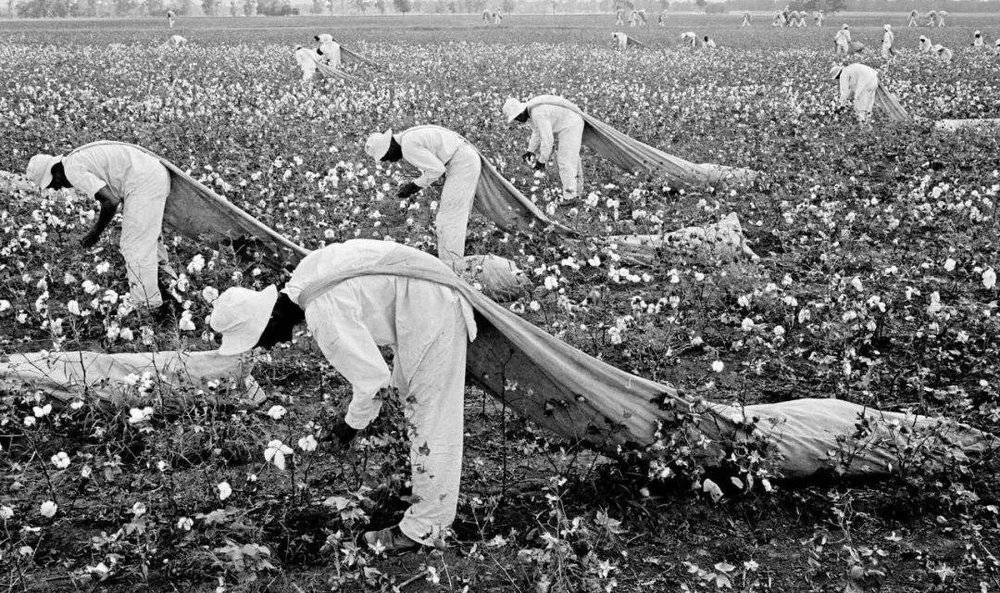 棉花的历史：全球资本主义的殖民与奴役插图(1)