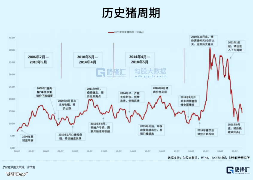 致富养鸡好段_致富新项目养鸡_养鸡致富经