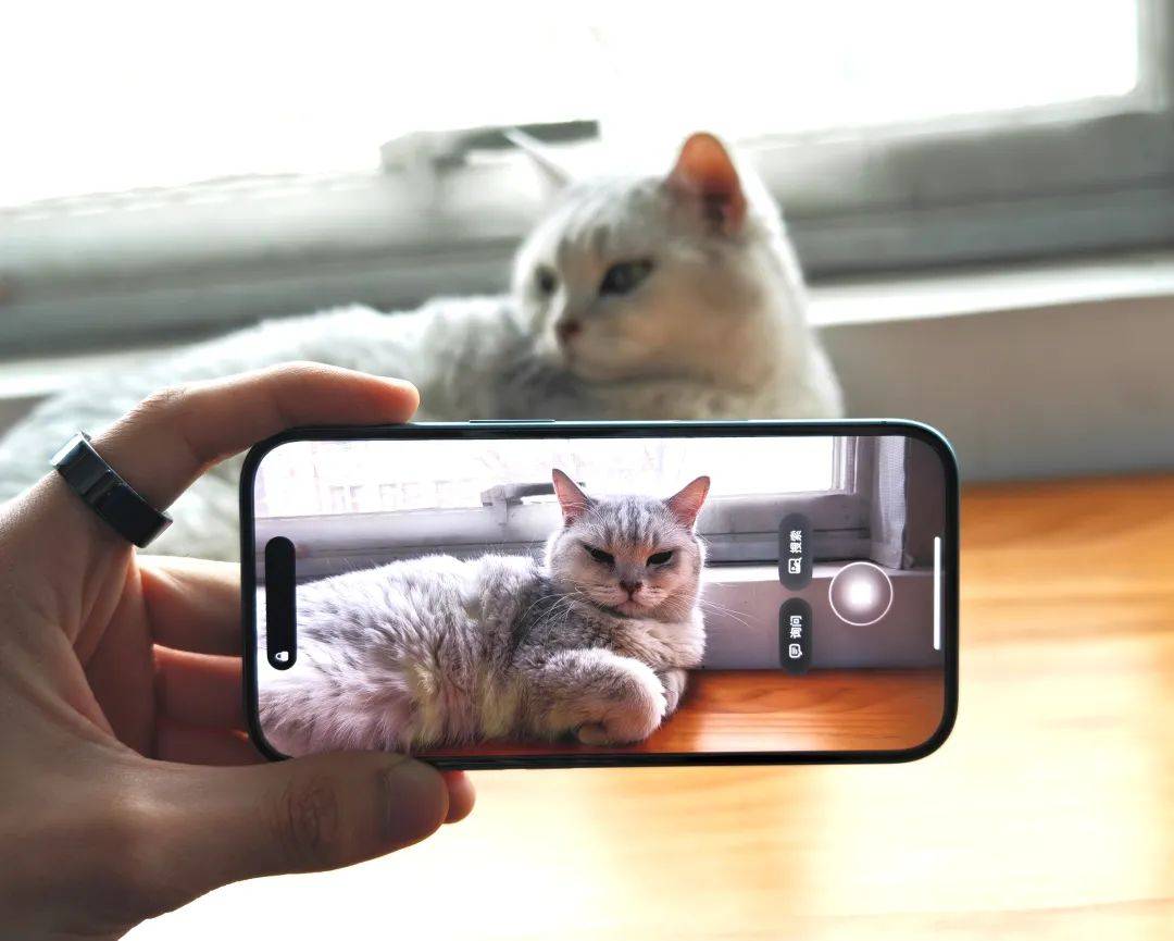 Apple AI”中文版正式上线：还不太好用，但确实很“苹果”-虎嗅网