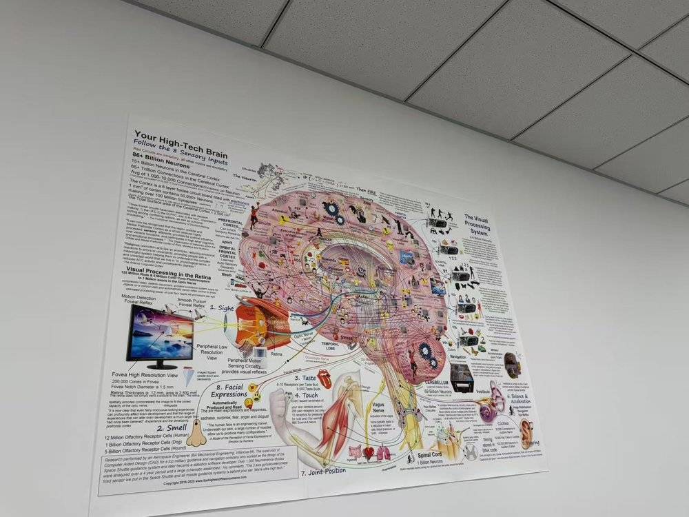 Ultrasound Brain Interfaces Enter AI’s Next Era
