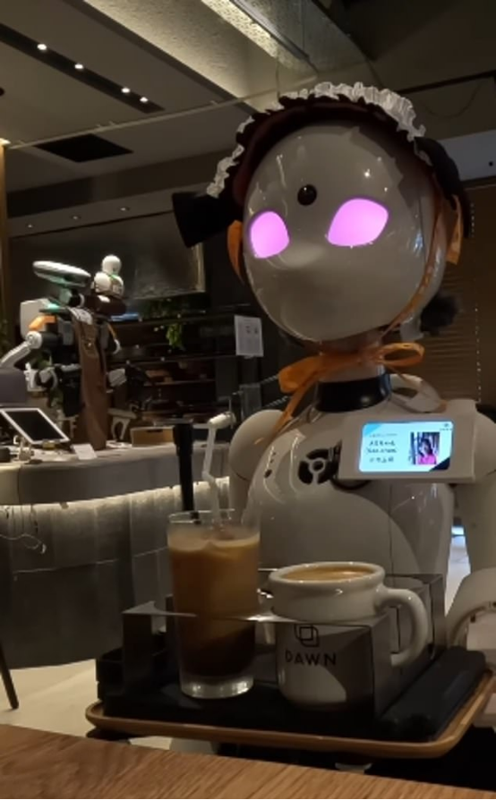 Robots Ease AI Job Replacement Fears