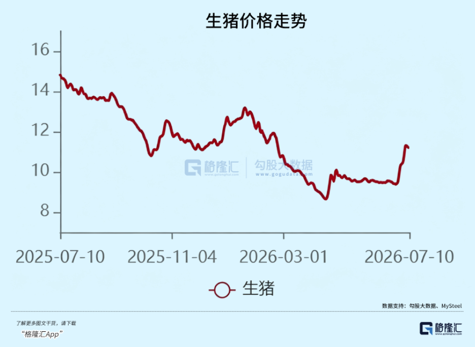 Pig Price Rebound: Industry Turning Point?