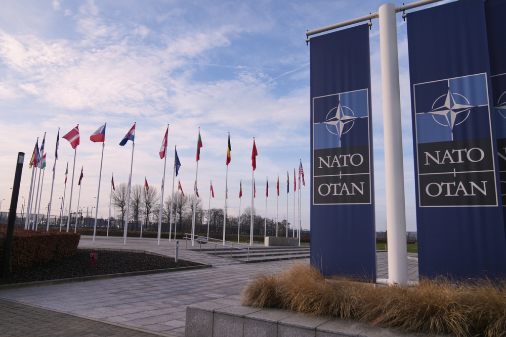 NATO's Shift: From Responsibility Sharing to Transfer
