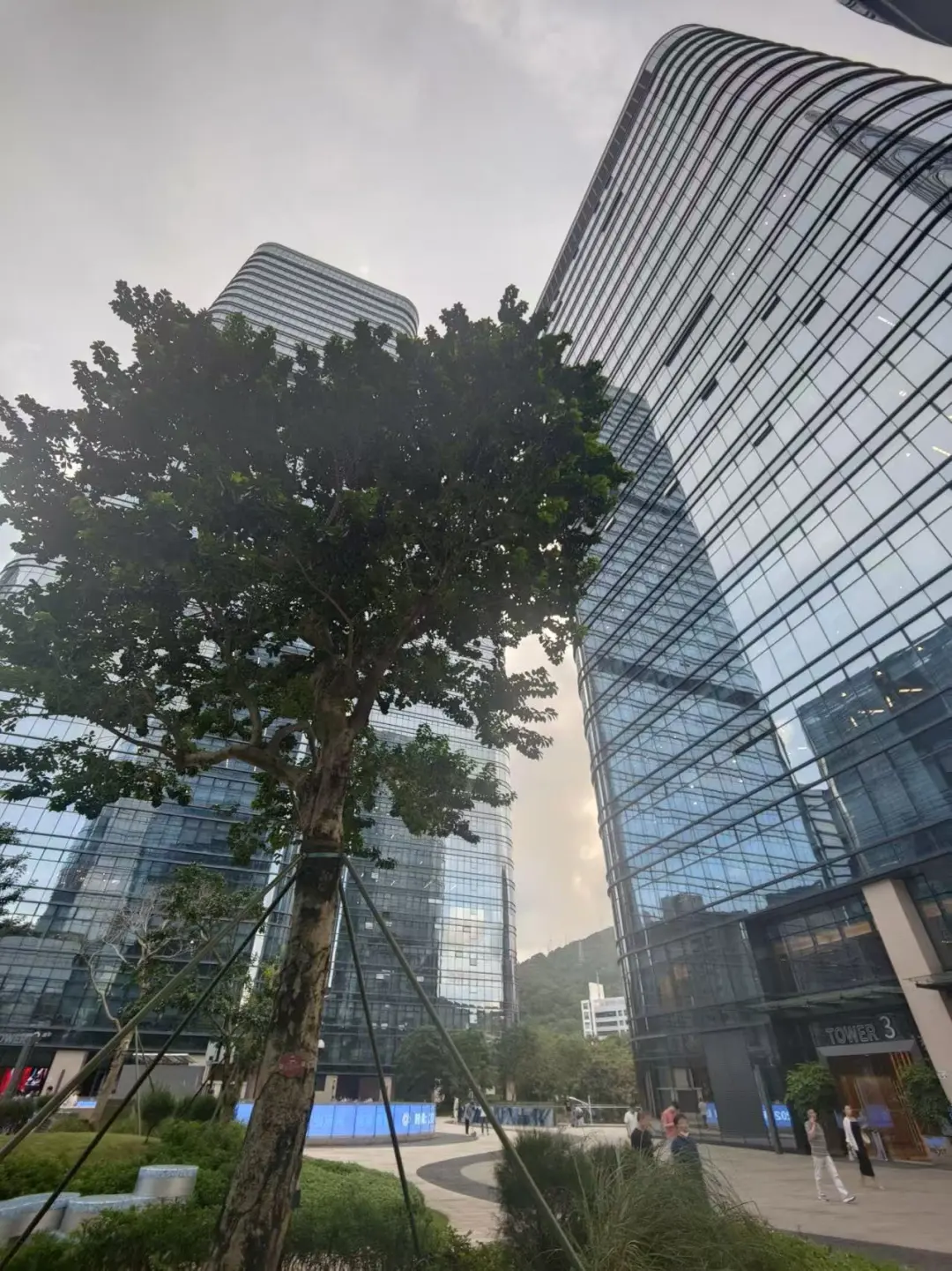 高中生湧入企業實習的趨勢