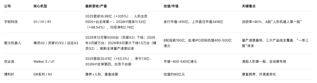 量产元年，谁在抢跑？——中国人形机器人的双寡头初局