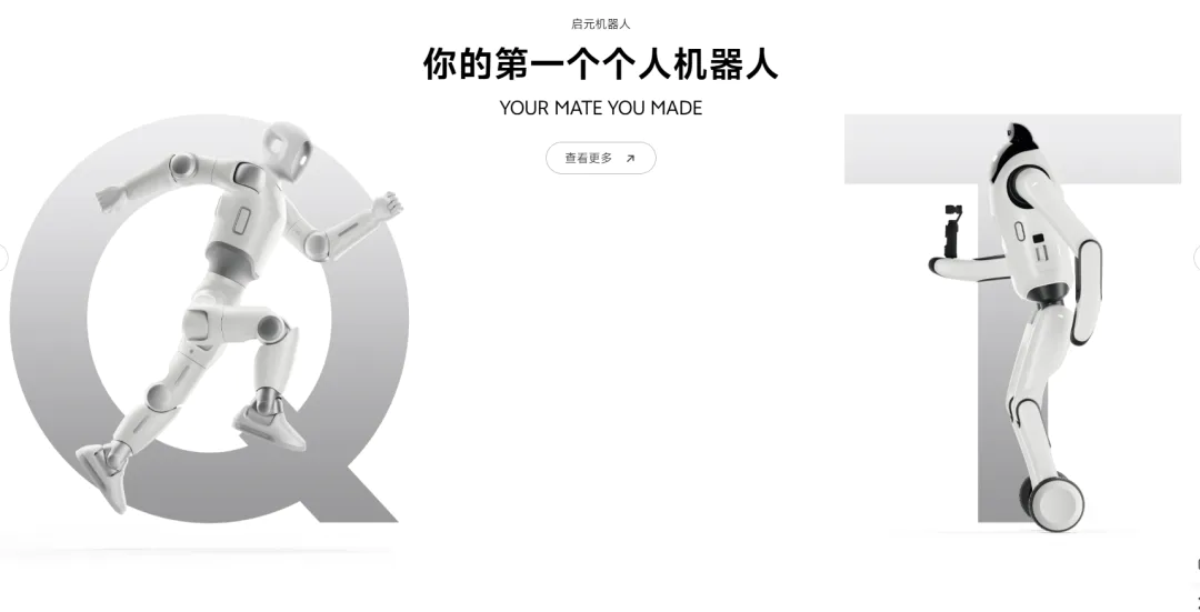 个人机器人C端化,一场关于耐心的长期实验