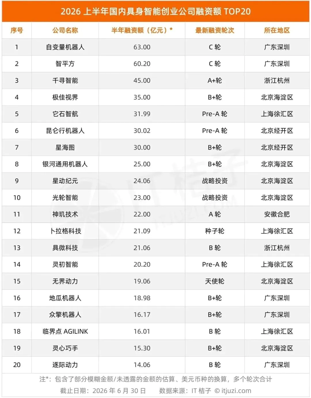 具身机器人,凛冬将至