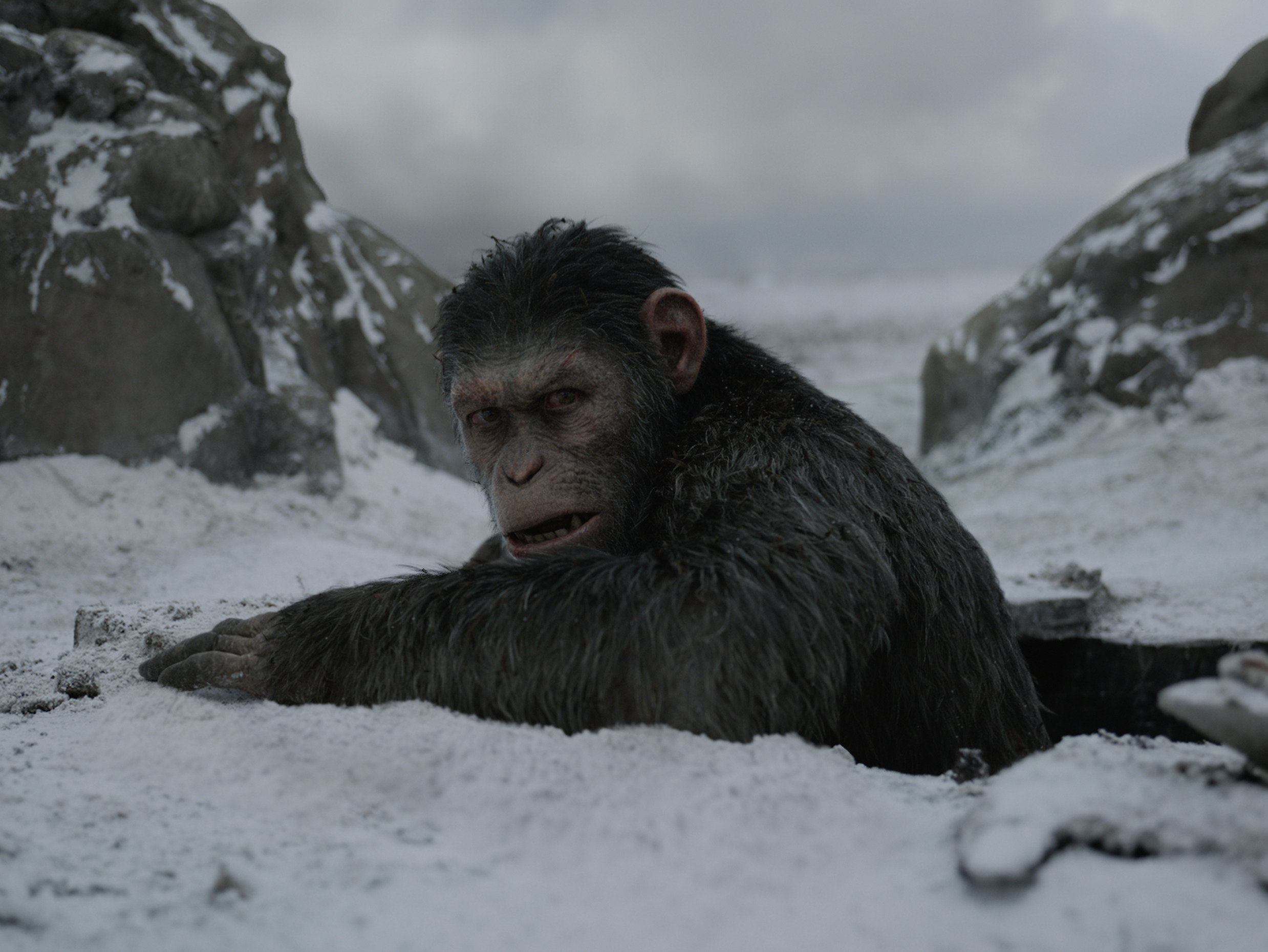 猩猩”主题电影的80年：既是电影工业革命史，更是人类文明进化史-虎嗅网, image size:2477x1860