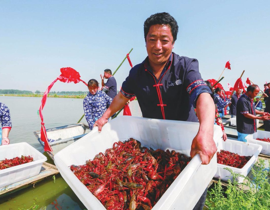 在这个城市有无数的小龙虾在跟你招手