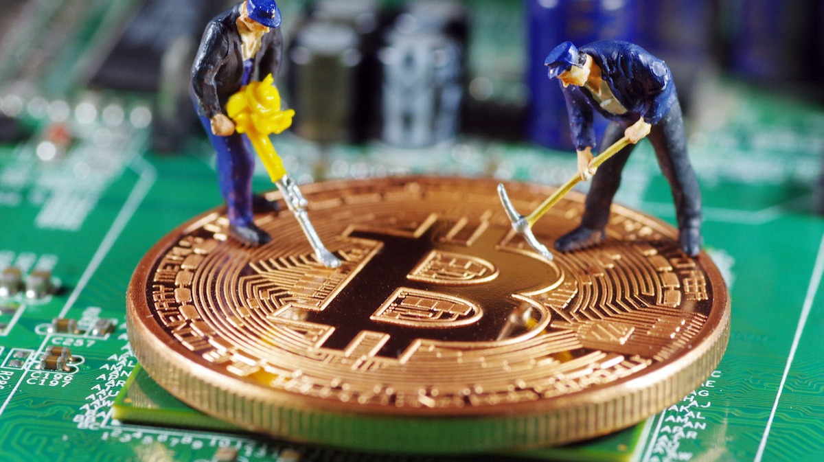 以“币”养“芯”：比特大陆能否蜕变为下一个英伟达？