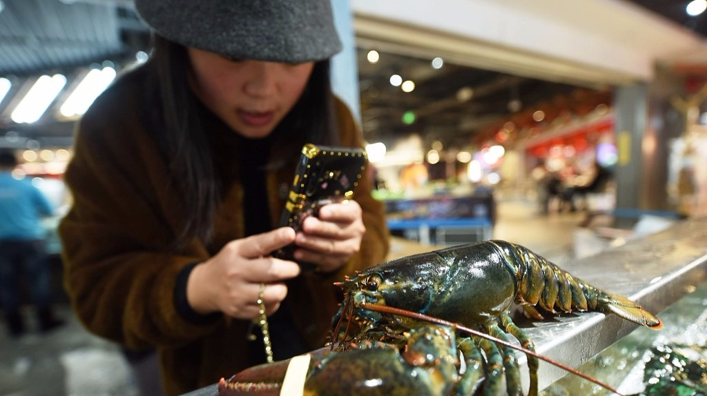 入股谊品生鲜，腾讯“占坑”生鲜连锁赛场