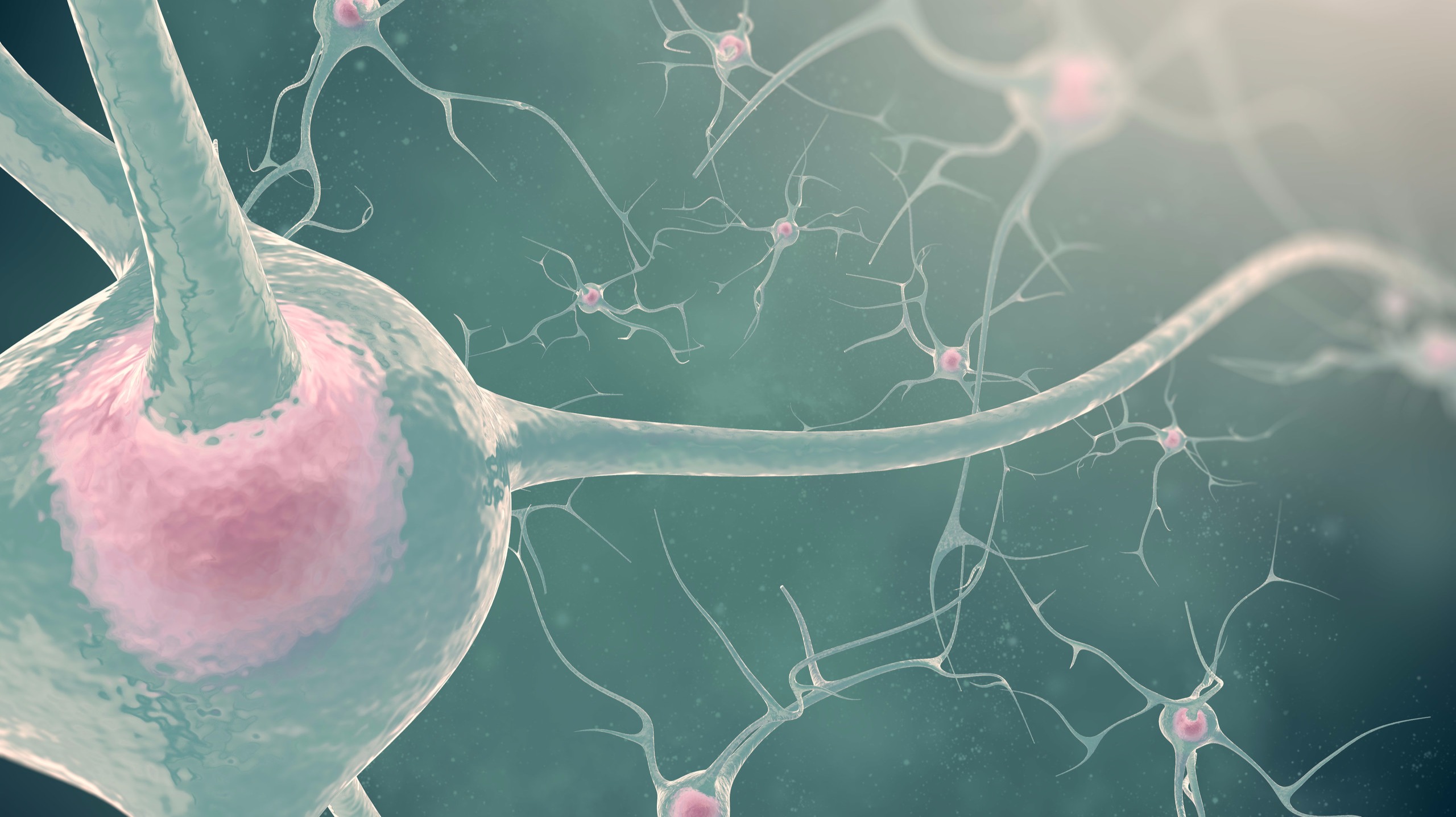 人工智能破译神经活动，脑机接口说出无言心声