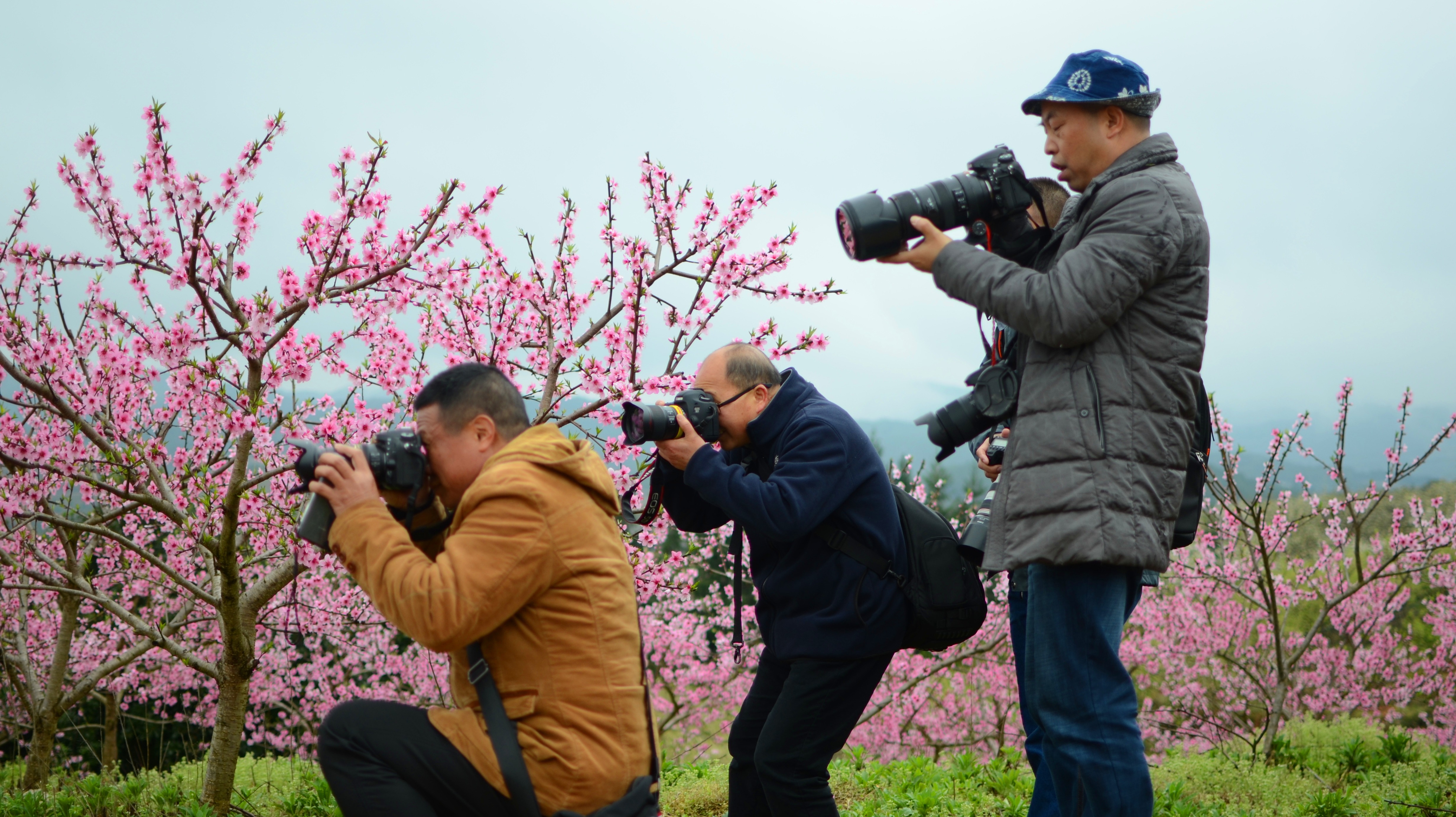 谁说视觉中国完蛋了？反正财报挺好看