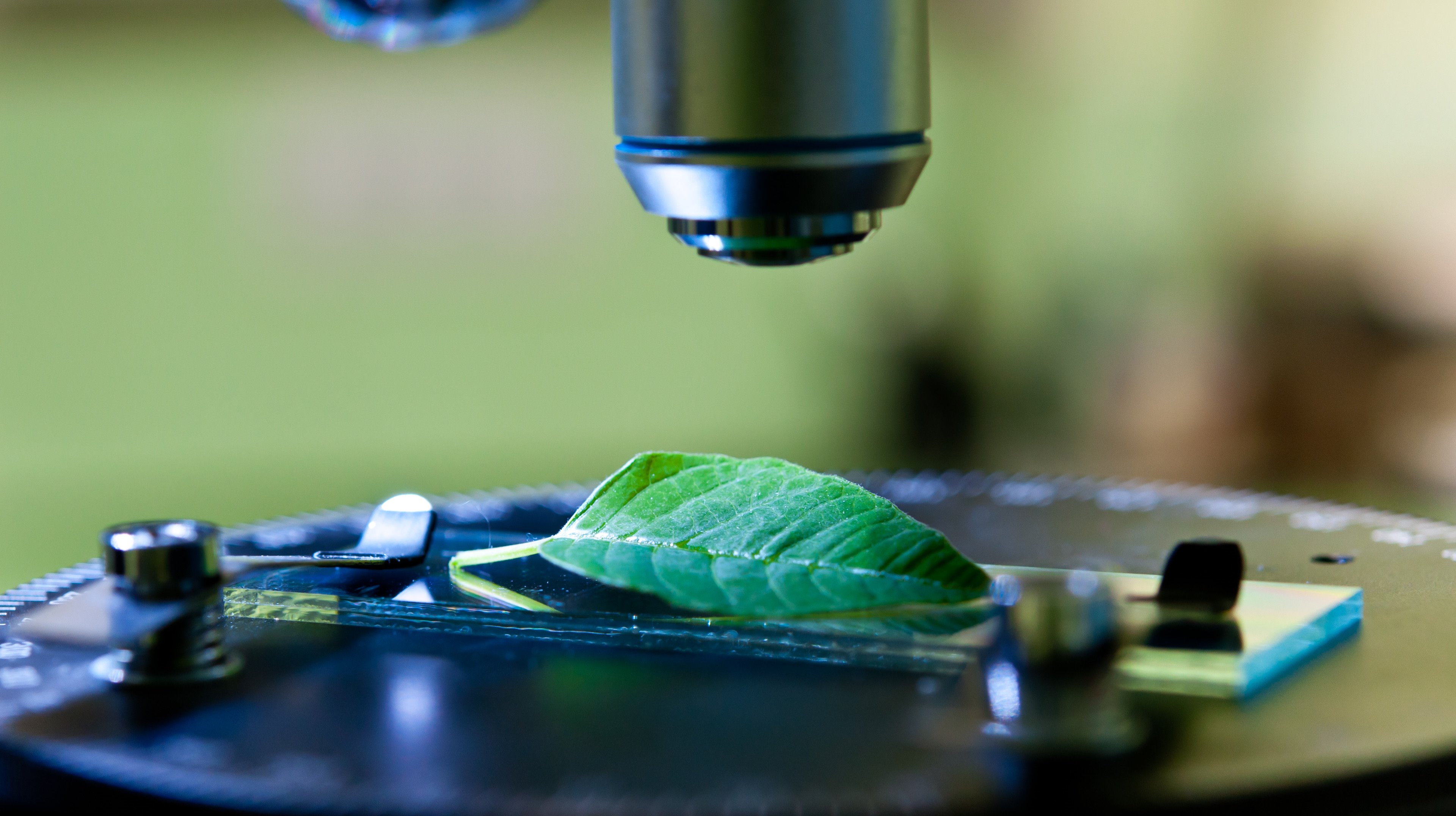 生物学第二次范式革命：还原论还能教给我们什么？-虎嗅网, image size:3840x2153