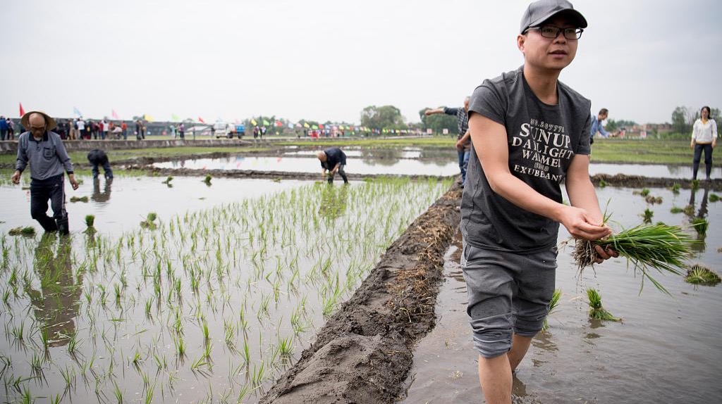 谁在大城市郊区种地？