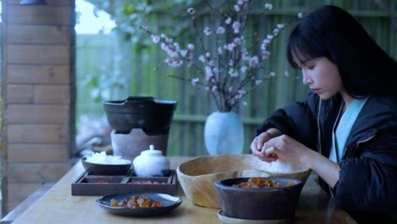 展开讲讲，为什么有人不喜欢李子柒