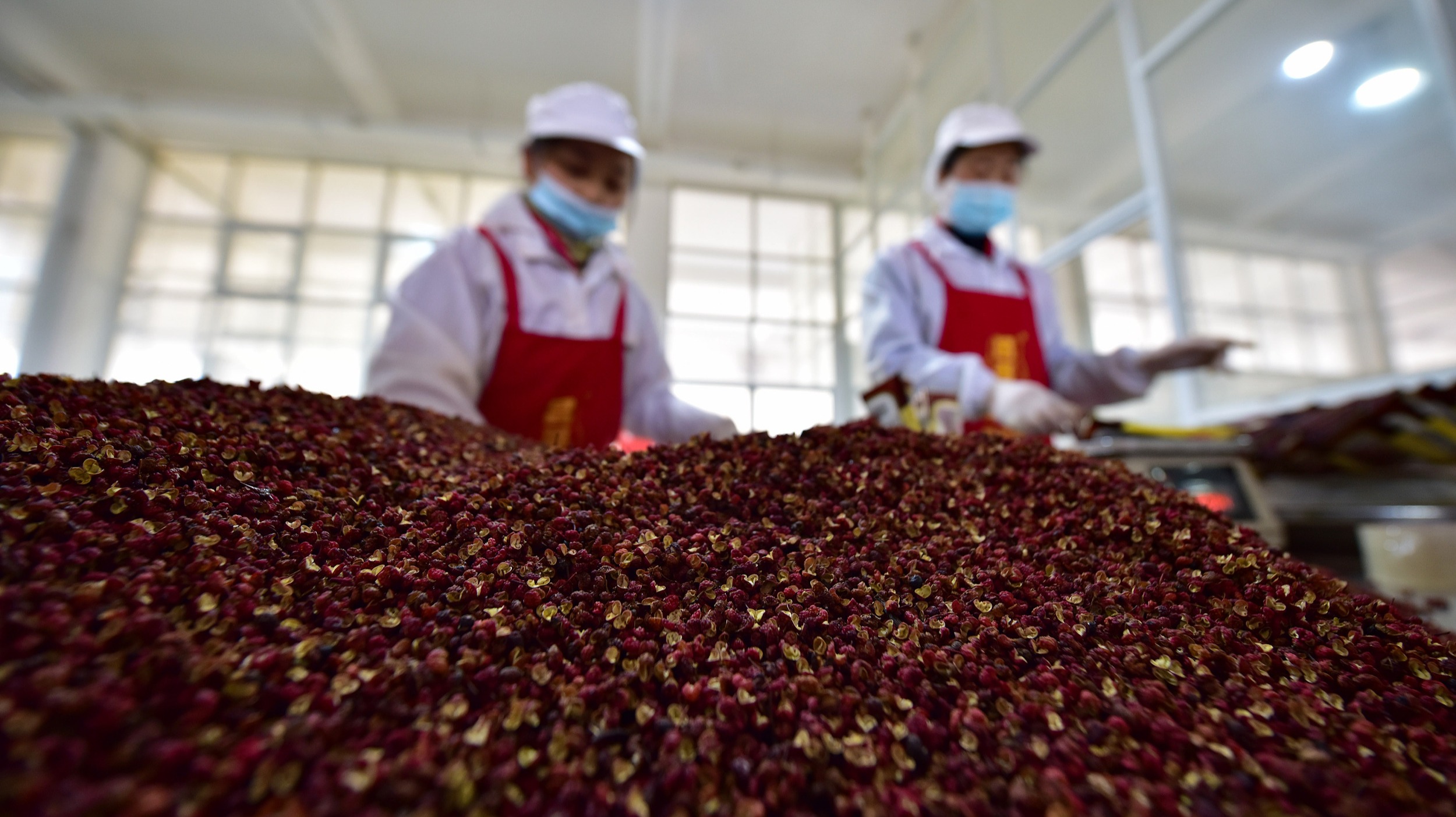 小小花椒背后复杂而庞大的产业链