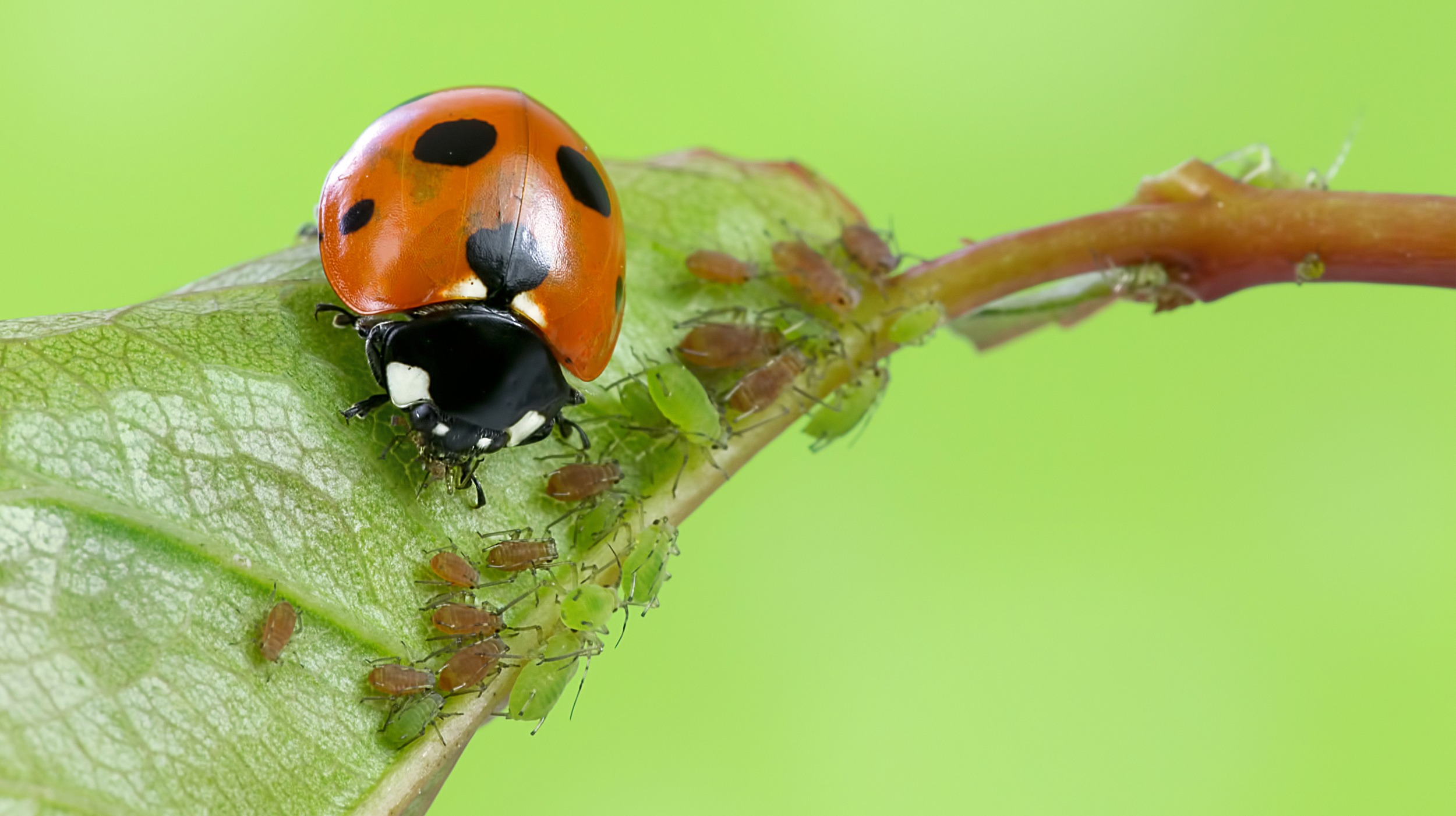 躺平还是内卷？不如算算边际收益