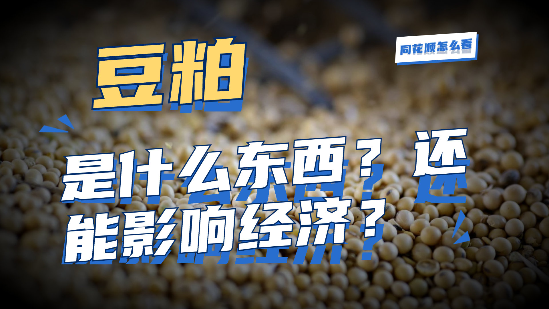 豆粕价格创10年新高，对四季度经济有什么影响？