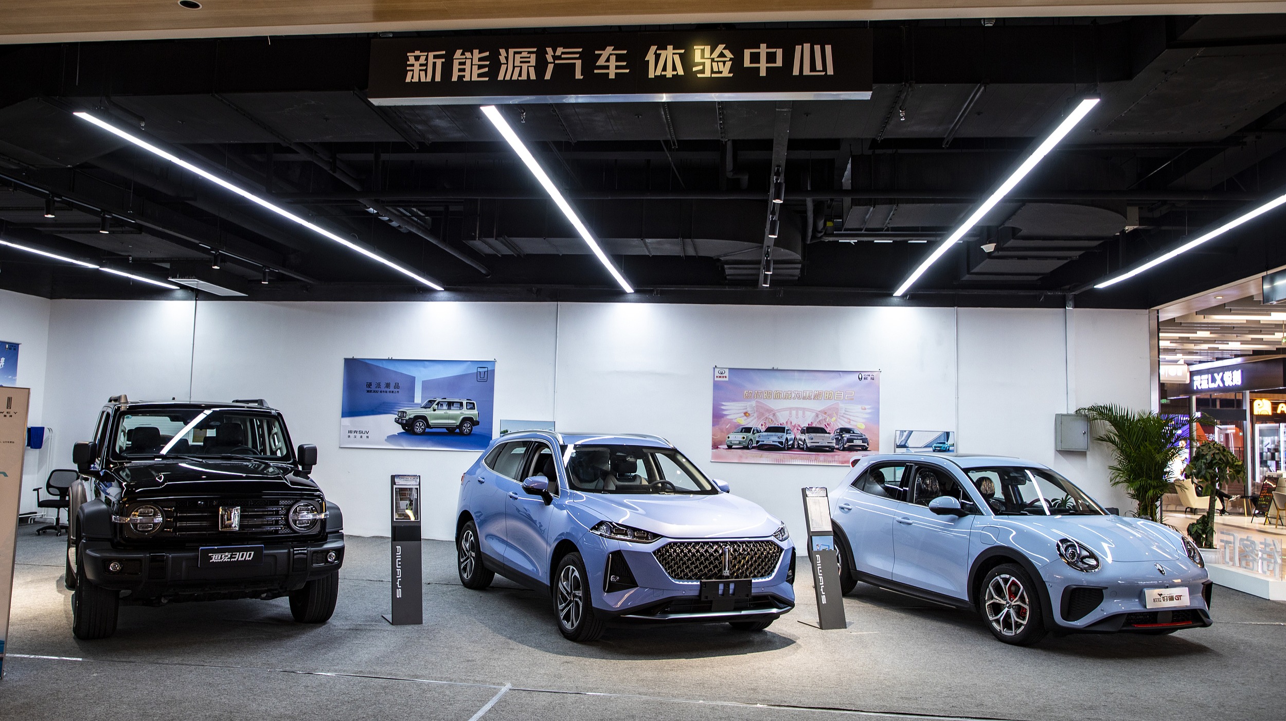 长城汽车，穿越新能源“森林”