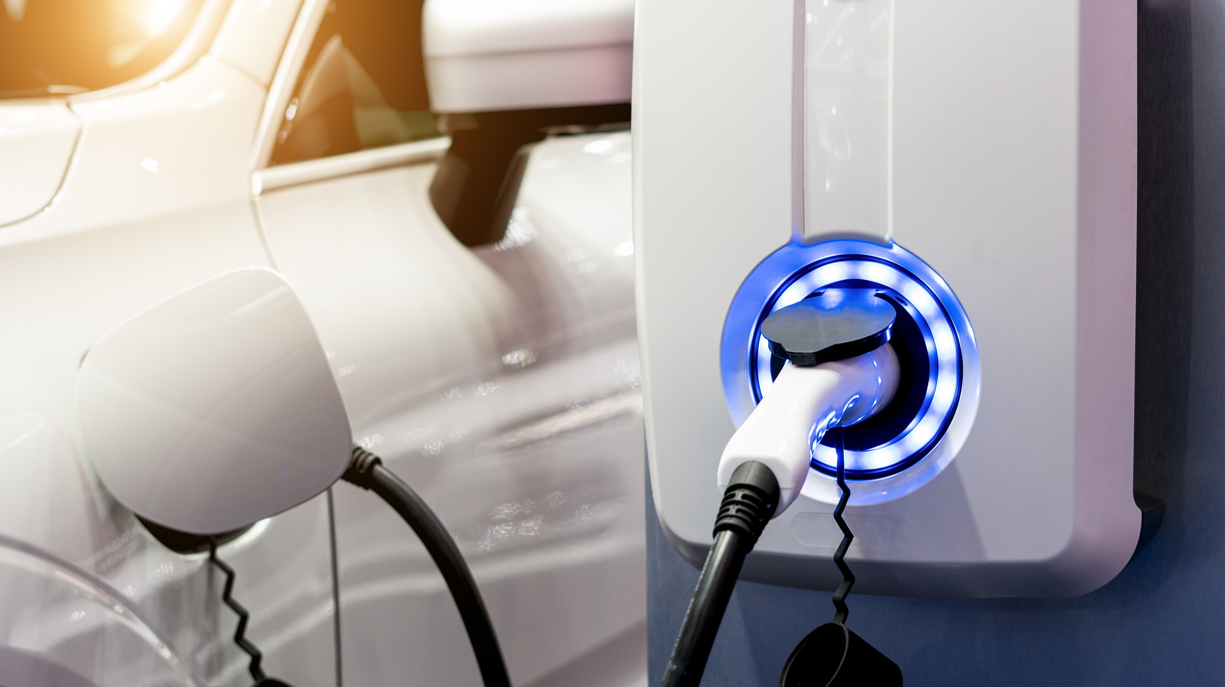 汇添富过蓓蓓：新能源车未来降价空间不大，回调时配置三要点，下阶段关注这个风险