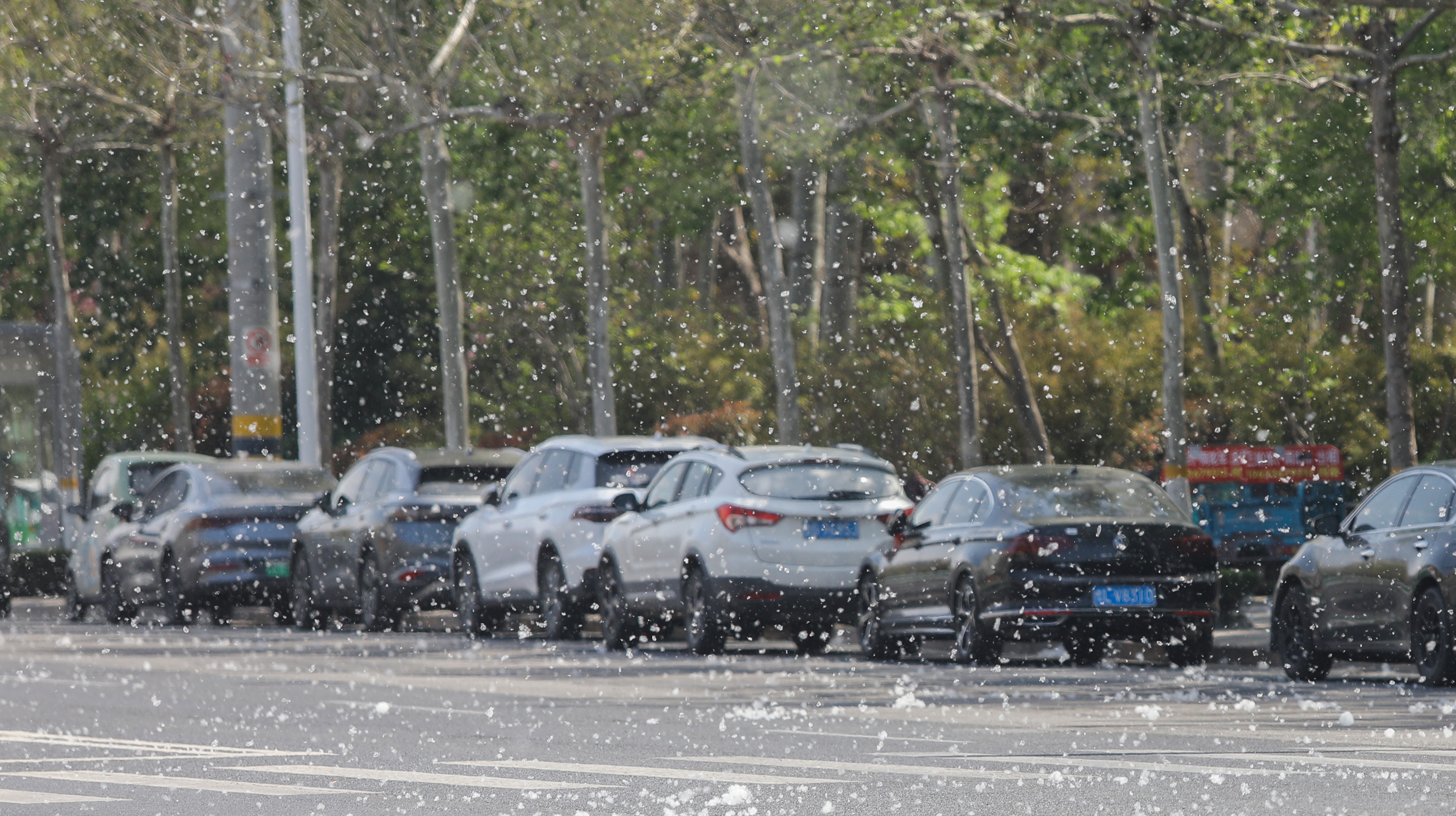春季过敏高峰期来了，该如何防治？
