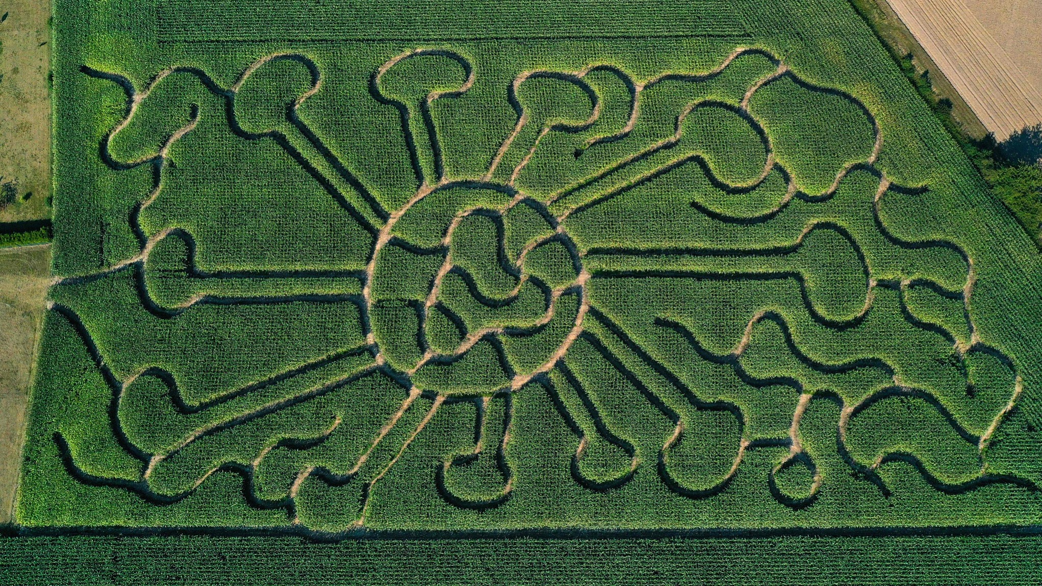 麦田怪圈的秘密，原来早就解开了？