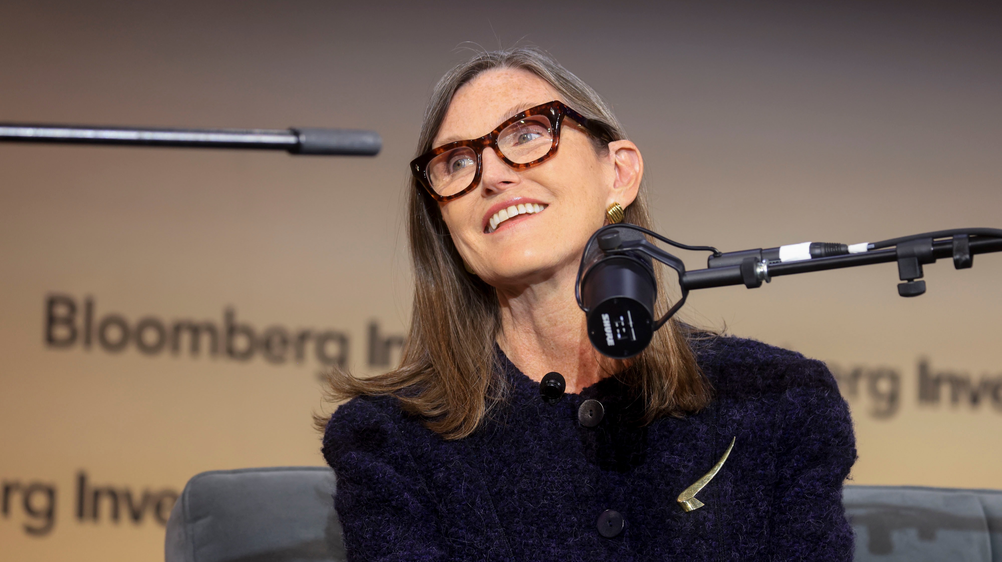 木头姐：以AI为核心的技术发展，已进入黄金时期