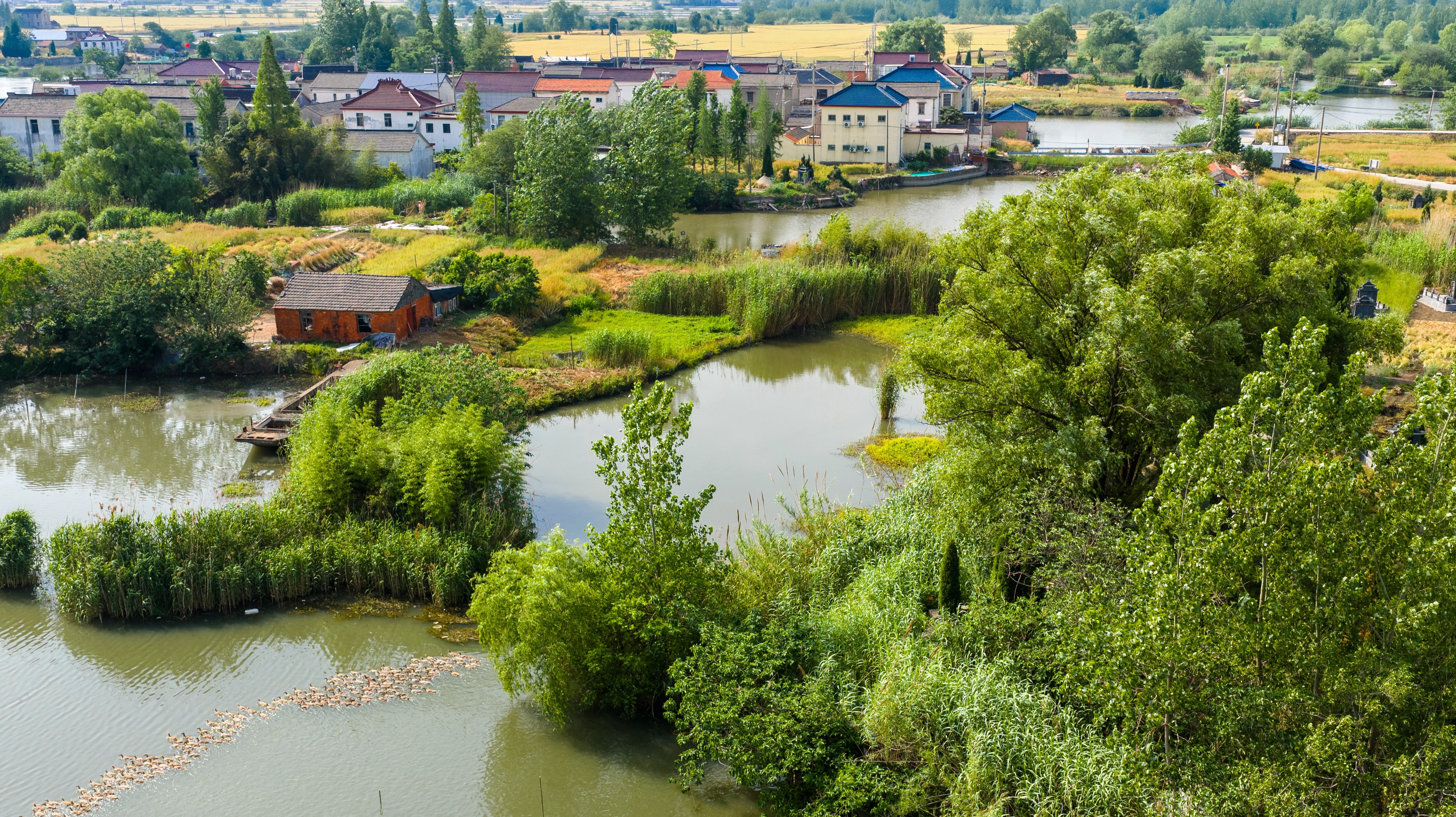 他们出生在江苏，却生来就有上海户口