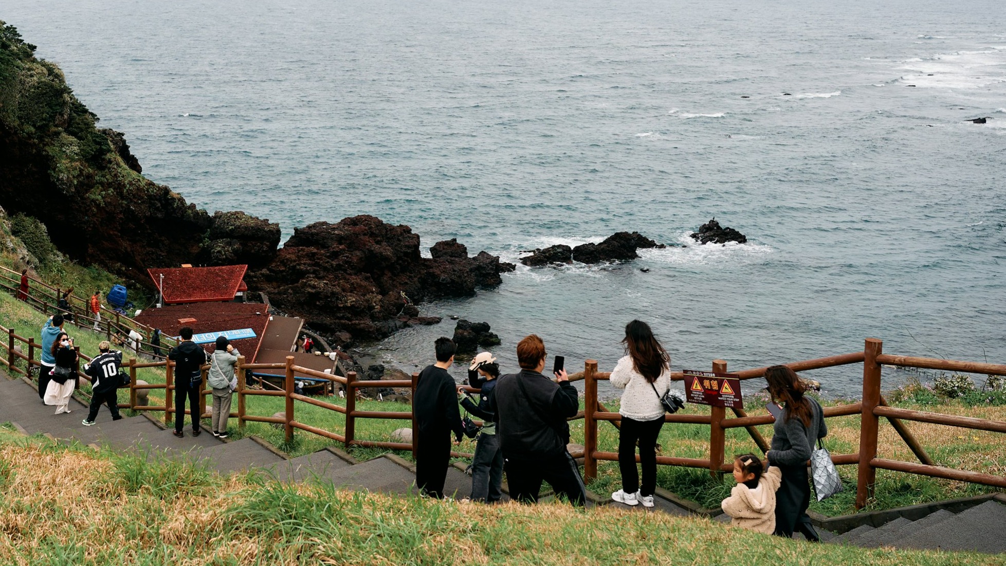 济州岛，正在被江浙沪悄悄“吞并”