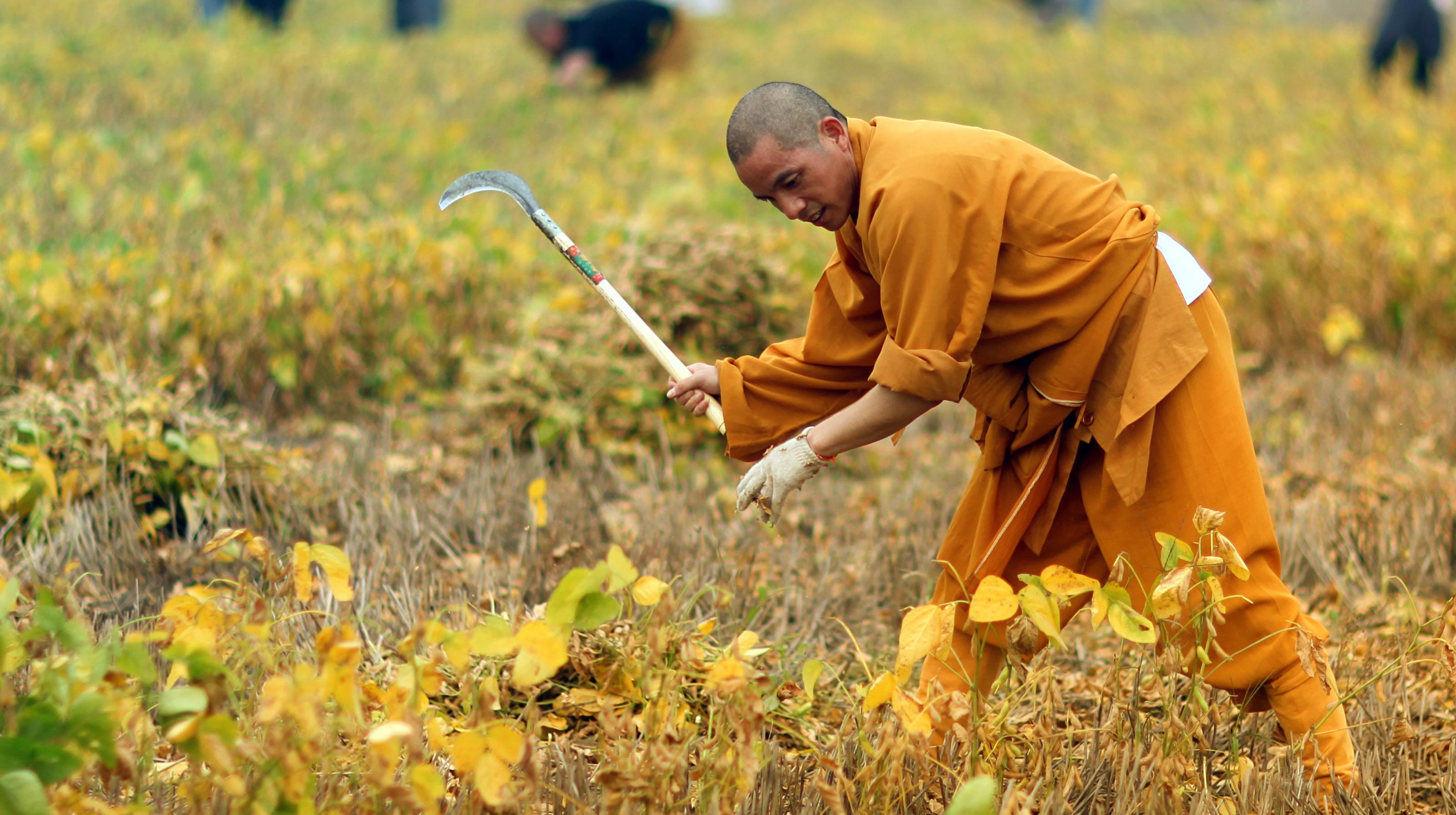 开挖掘机、不爱商业，少林寺来了位不一样的住持