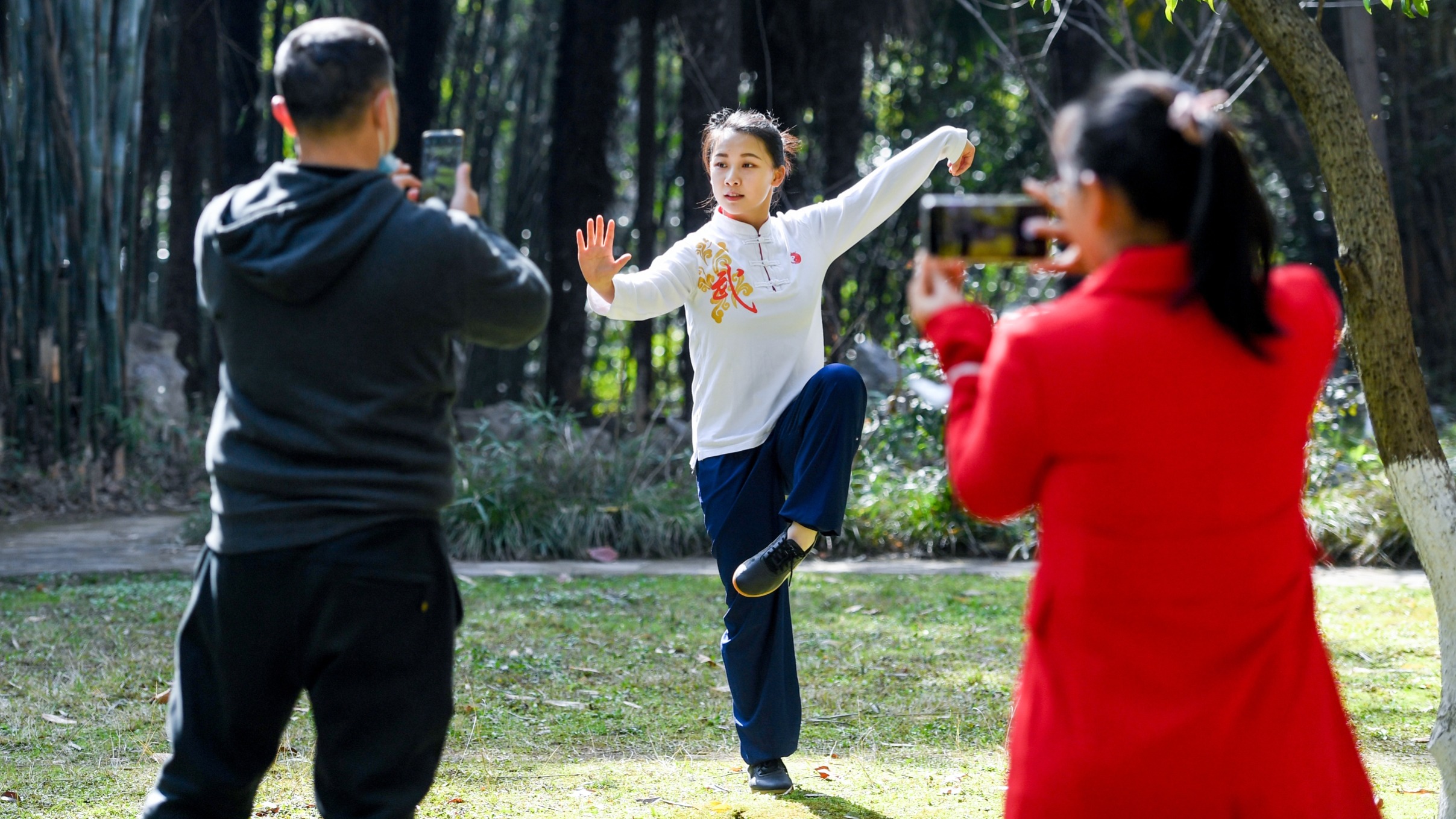 对于当前社会的理解，网文是面最好的镜子