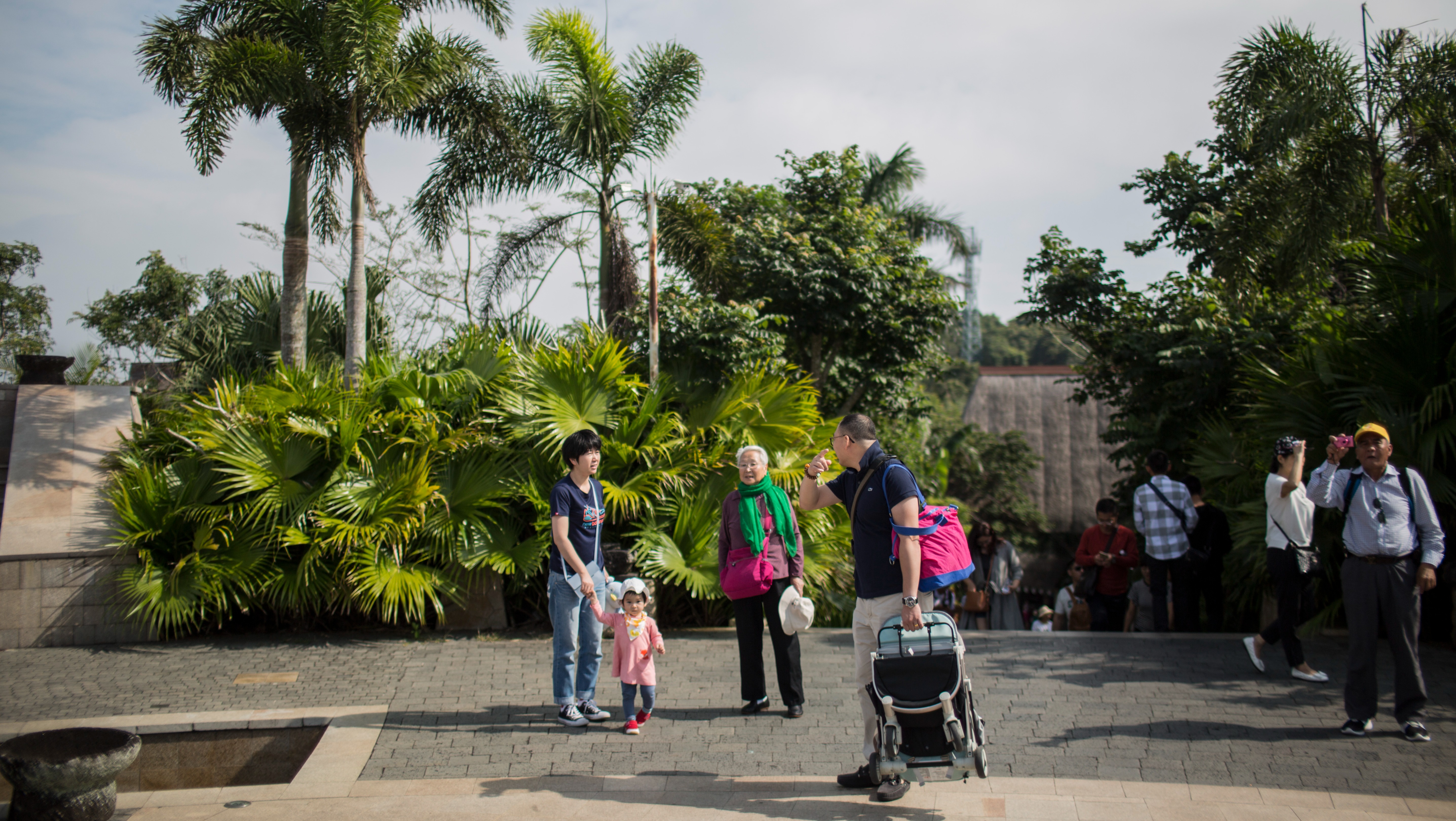 “东北候鸟”与海南县城的冬季共生